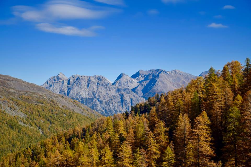 Vallée de la Clarée, écrin de nature printemps / été / automne  -6848a02256c00: /